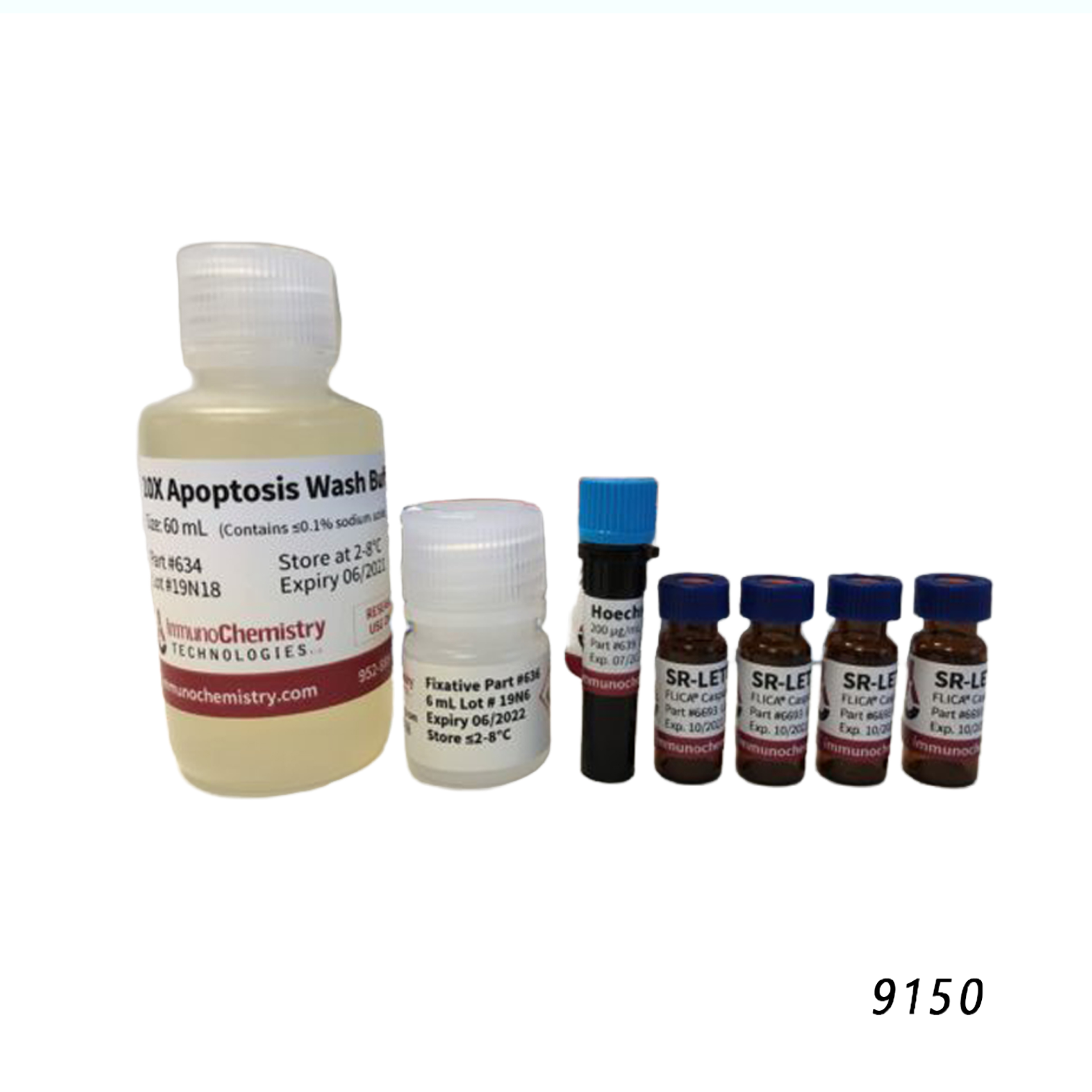 SR-FLICA®半胱天冬酶-8检测试剂盒 SR-FLICA® Caspase-8 Assay Kit
